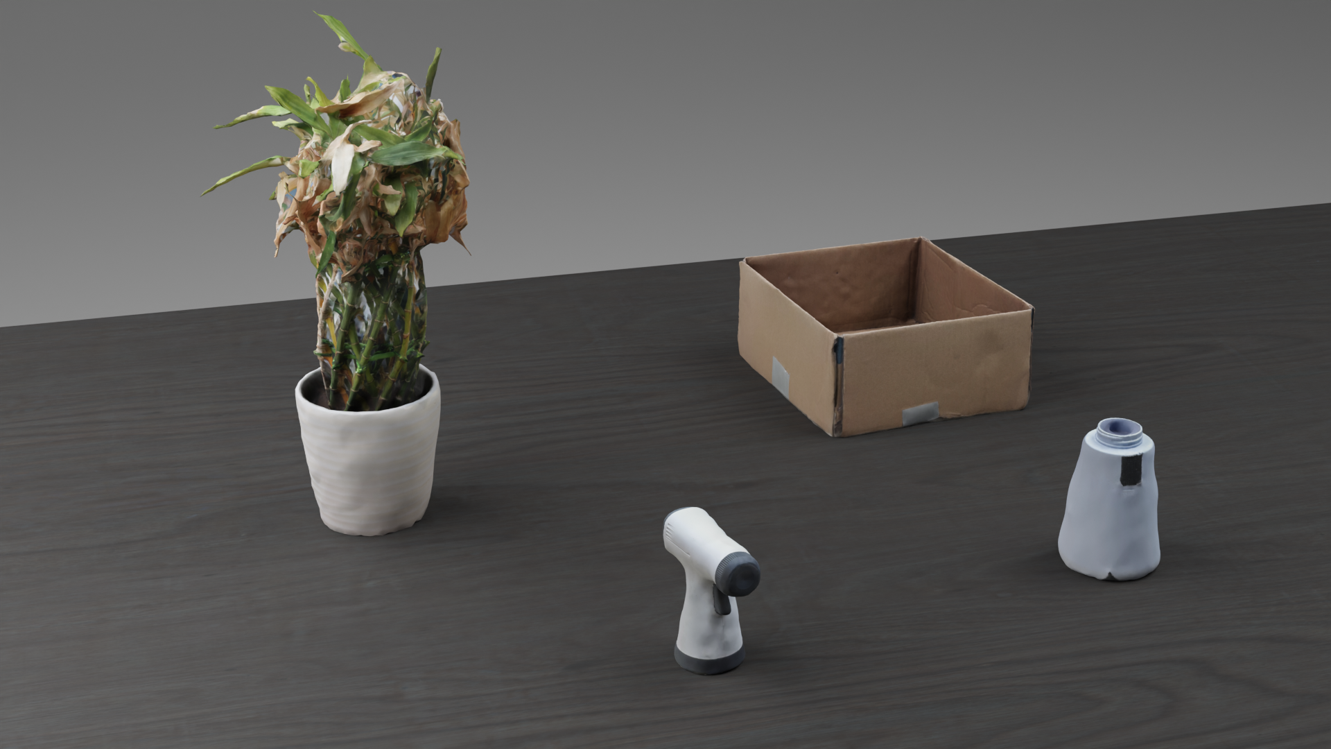 Plant Watering